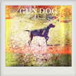 Micatone - Gun Dog (2012) 12